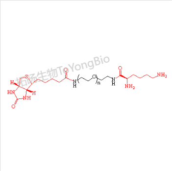 生物素聚乙二醇赖氨酸  Biotin-PEG-Lysine