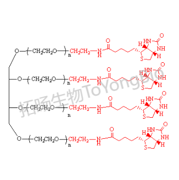 四臂聚乙二醇生物素  4Arm PEG-Biotin