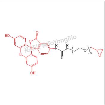 荧光素聚乙二醇环氧基 环氧基聚乙二醇荧光素 FITC-PEG-EPO EPO-PEG-FITC