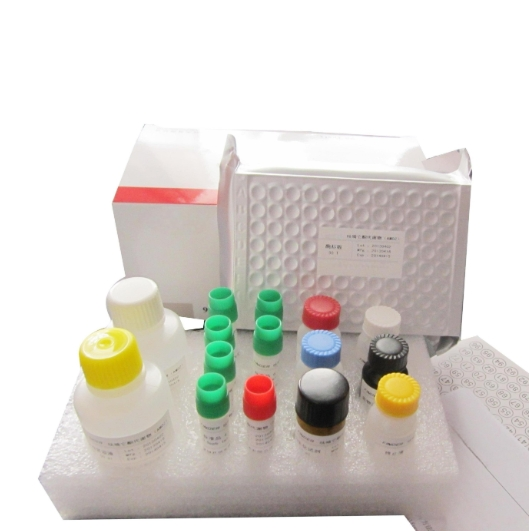 DPPA，二棕榈酰基磷脂酸，1,2-Dipalmitoyl-sn-glycero-3-phosphate