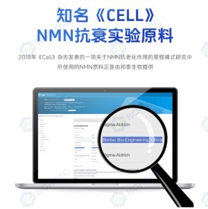 烟酰胺单核苷酸NMN原料粉末4.0全酶法 NMN正品NAD+前体