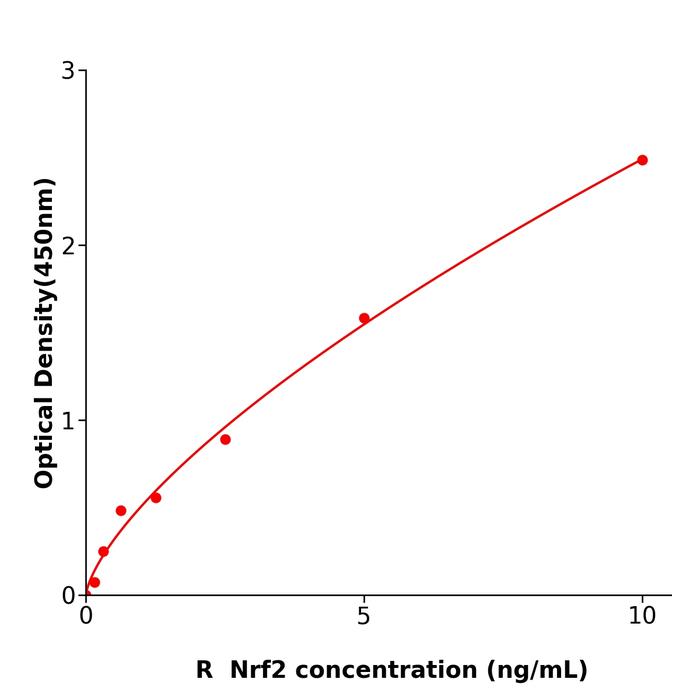 大鼠核因子E2相关因子2(Nrf2).png