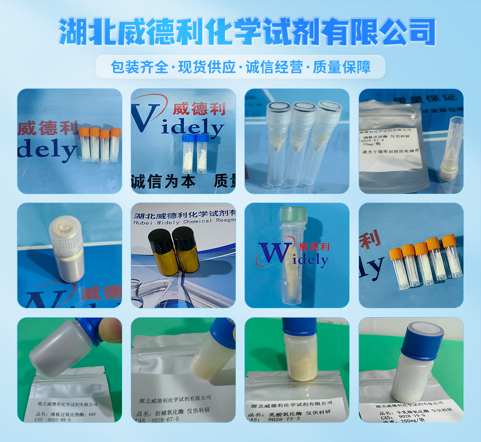 碳酸酐酶9001-03-0牛红血球生物酶工艺