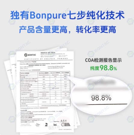 烟酰胺腺嘌呤双核苷酸磷酸盐-4钠盐