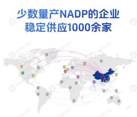 烟酰胺腺嘌呤双核苷酸磷酸盐-4钠盐