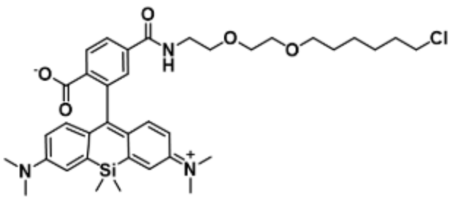 1418275-31-6，SiR-PEG2-C6-Cl，在生物学领域展现出广阔的应用前景