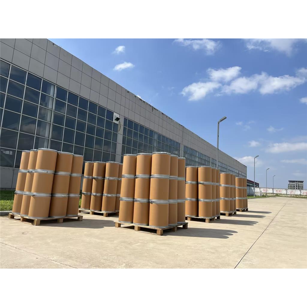 载锌磷酸锆粉 磷酸锆载锌抗菌剂 耐高温粉抗菌剂 锌复合抗菌 厂家