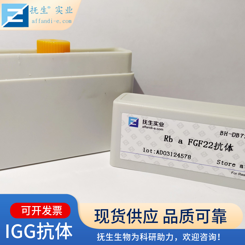 细胞间粘附分子-1（CD54）抗体