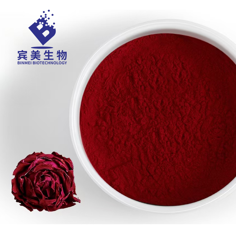 宾美 重瓣红玫瑰粉