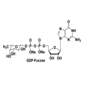 15839-70-0，鸟苷二磷酸岩藻糖，GDP-Fuc
