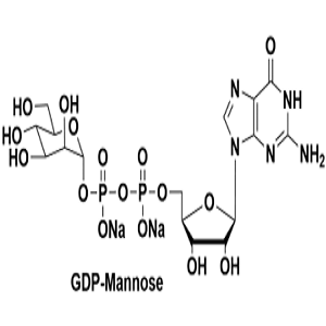 103301-73-1，GDP-甘露糖，GDP-Man