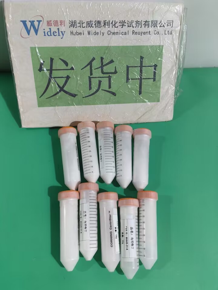 乌司他丁/尿激酶