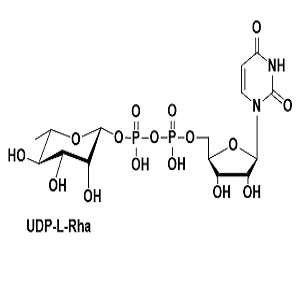 1955-26-6，UDP-L-Rhamnose，尿苷二磷酸-L-鼠李糖