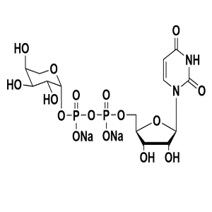 15839-78-8，UDP-L-Arabinose，UDP-L-阿拉伯糖
