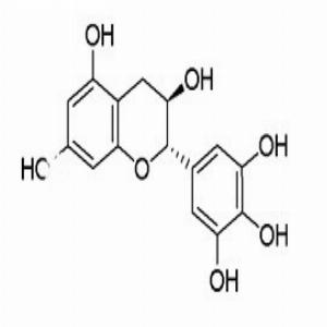 没食子儿茶素GC(CAS:3371-27-5)