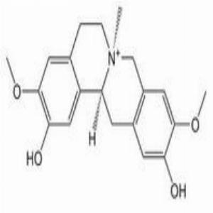 黄柏碱(CAS:6873-13-8)