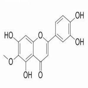 泽兰黄酮(CAS:520-11-6)