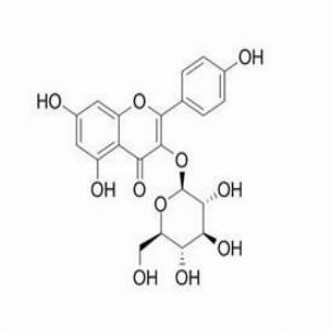 紫云英苷(CAS:480-10-4)