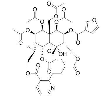 雷公藤吉碱(雷公藤精碱)(CAS:37239-47-7)