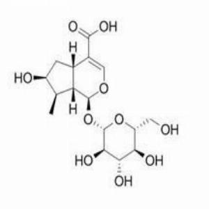 马钱苷酸（落干酸）(CAS:22255-40-9)