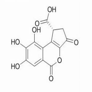 短叶苏木酚酸(CAS:18490-95-4)