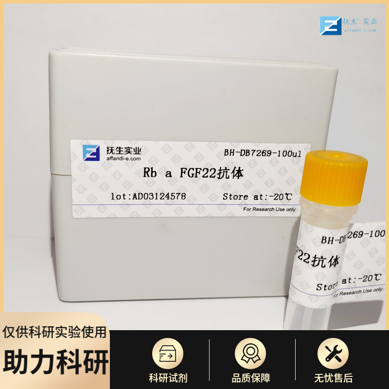 乙酰胆碱酯酶抗体