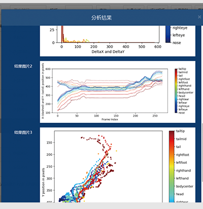 动物行为学软件 动物行为学视频分析系统