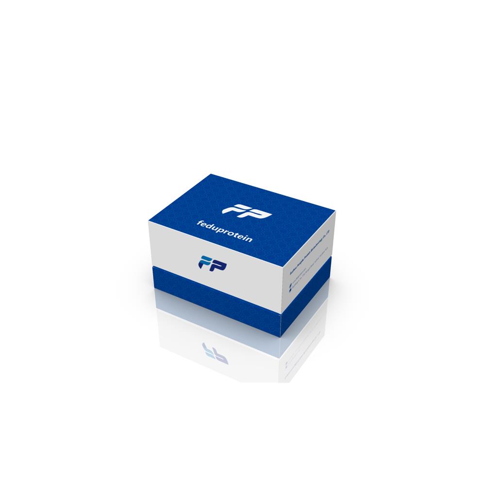 登革热病毒3型探针法qRT-PCR试剂盒(不含内参）