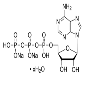 34369-07-8，腺苷-5'-三磷酸二钠盐，ATP