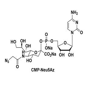 3063-71-6，CMP-Neu5Az，胞嘧啶单磷酸N-乙酰神经氨酸腙