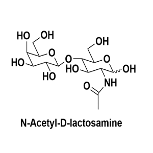 32181-59-2，N-Acetyl-D-lactosamine，N-乙酰基-D-乳糖胺