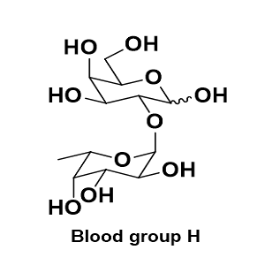 16741-18-7，Blood group H，血型H二糖