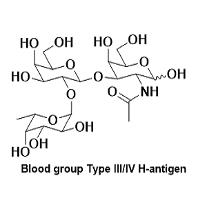 血型III/IV型H抗原，Blood group Type III/IV H-antigen