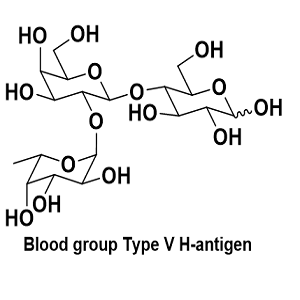 血型V型H抗原，Blood group Type V H-antigen