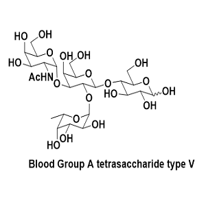 59957-92-5，血型A四糖型V，Blood Group A tetrasaccharide type V