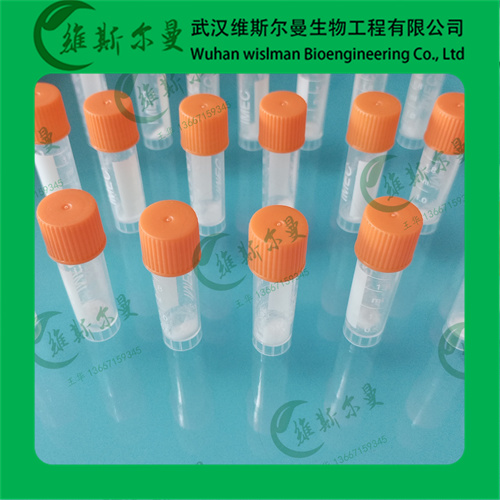 碳酸酐酶9001-03-0牛红血球生物酶工艺-新能源开发-找维斯尔曼王华