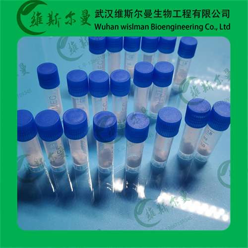 碳酸酐酶9001-03-0牛红血球生物酶工艺-新能源开发-找维斯尔曼王华