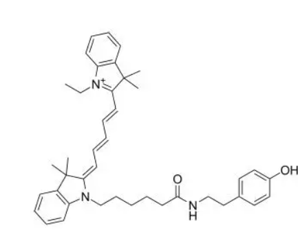CY5-TSA/CY5-酪氨酰胺/CY5-TSA / TSA-CY5/Tyramide-Cyanine5 conjugate/近红外荧光信号放大探针