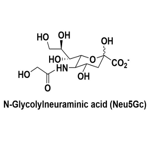 1113-83-3，N-Glycolylneuraminic acid，N-羟乙酰神经氨酸