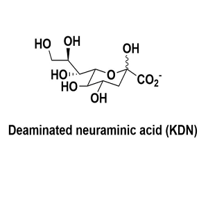 KDN，脱氨神经氨酸，Deaminated neuraminic acid