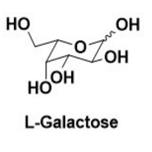 15572-79-9，L-Galactose，L-半乳糖