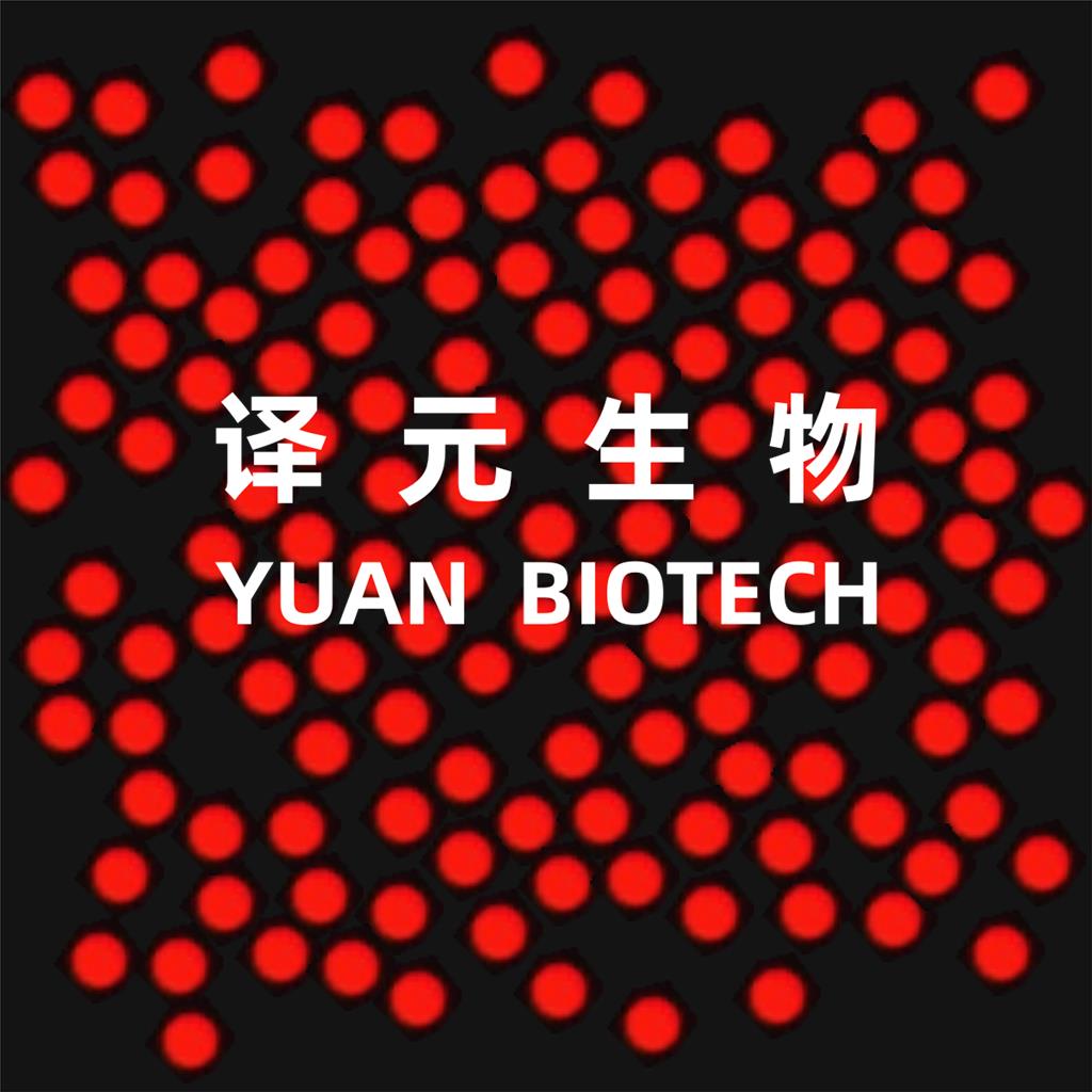 聚苯乙烯荧光微球