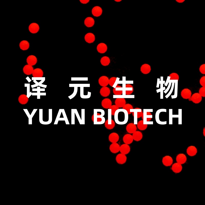 聚苯乙烯荧光微球