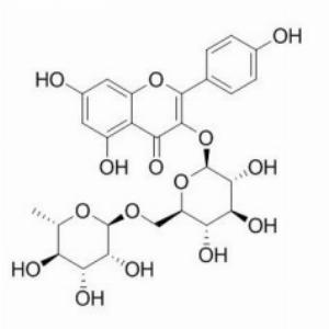 山奈酚-3-O-芸香糖苷(CAS:17650-84-9)