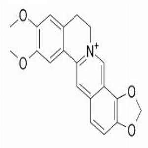 表小檗碱(CAS:6873-09-2)