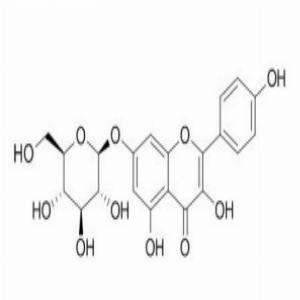 山奈酚-7-O-葡萄糖苷(CAS:16290-07-6)
