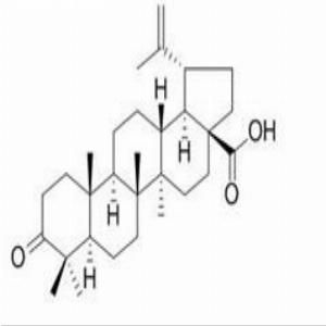 路路通酸,白桦脂酮酸(CAS:4481-62-3)