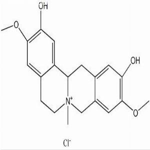 盐酸黄柏碱(CAS:104112-82-5)