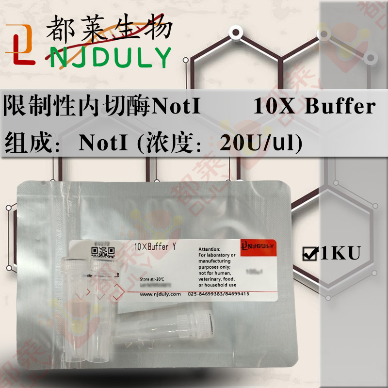 限制性内切酶NotI