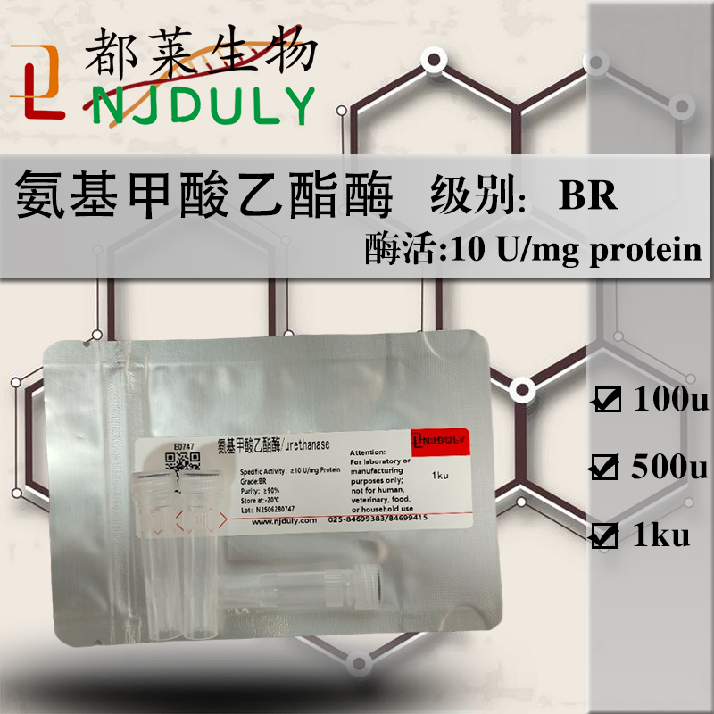 氨基甲酸乙酯酶
